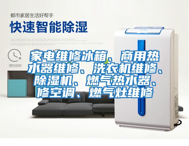家電維修冰箱、商用熱水器維修、洗衣機維修、除濕機、燃氣熱水器、修空調、燃氣灶維修