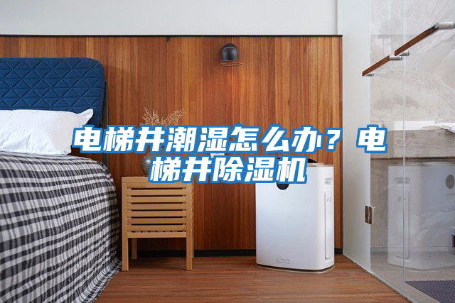 電梯井潮濕怎么辦？電梯井除濕機(jī)
