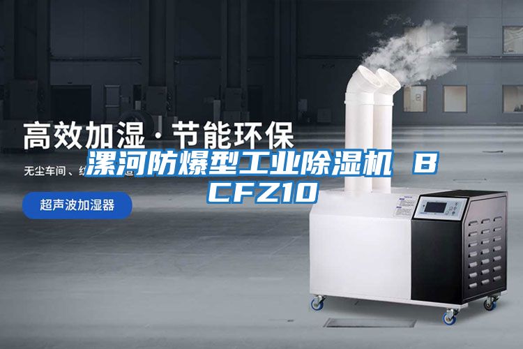 漯河防爆型工業除濕機 BCFZ10