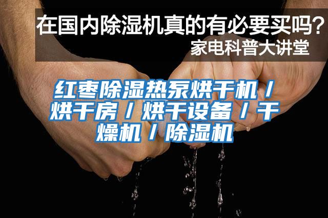 紅棗除濕熱泵烘干機/烘干房/烘干設備/干燥機/除濕機