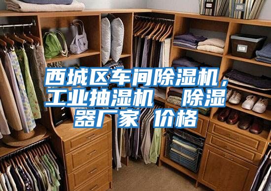 西城區(qū)車間除濕機，工業(yè)抽濕機  除濕器廠家 價格