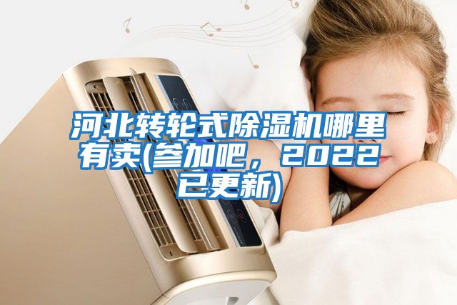 河北轉輪式除濕機哪里有賣(參加吧，2022已更新)