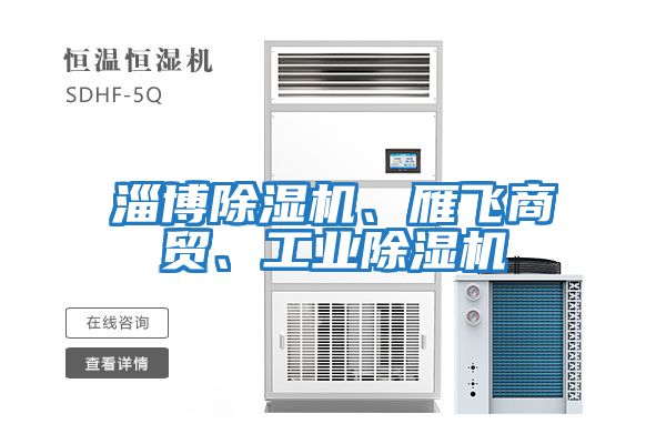 淄博除濕機(jī)、雁飛商貿(mào)、工業(yè)除濕機(jī)