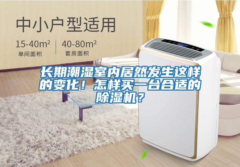 長期潮濕室內(nèi)居然發(fā)生這樣的變化!怎樣買一臺合適的除濕機?