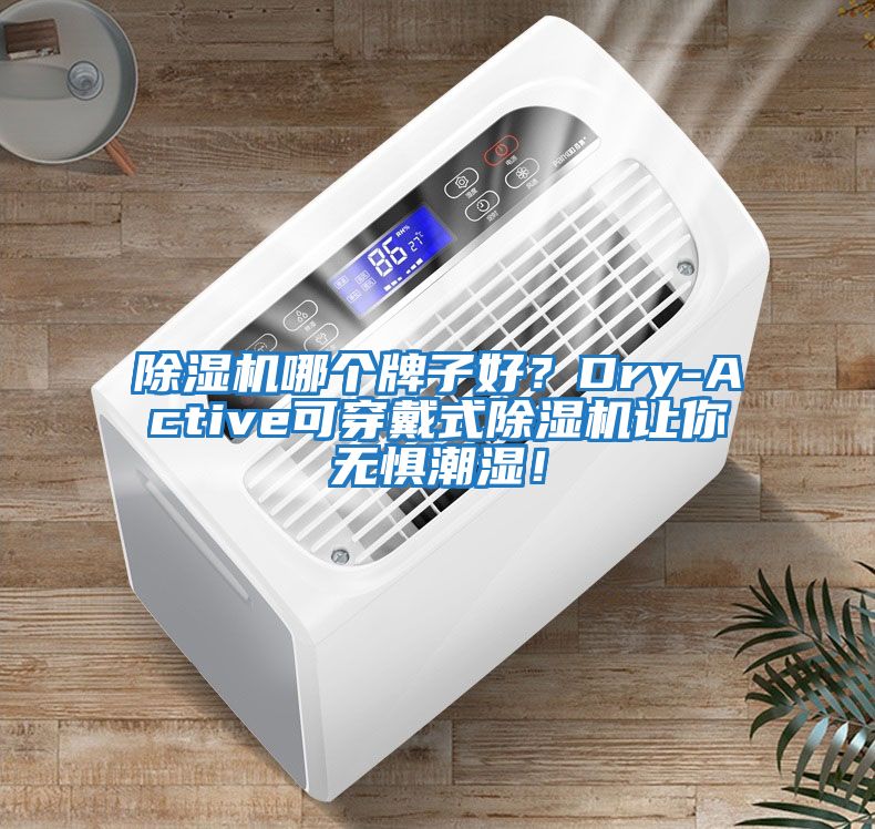 除濕機哪個牌子好？Dry-Active可穿戴式除濕機讓你無懼潮濕！