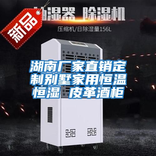 湖南廠家直銷(xiāo)定制別墅家用恒溫恒濕 皮革酒柜