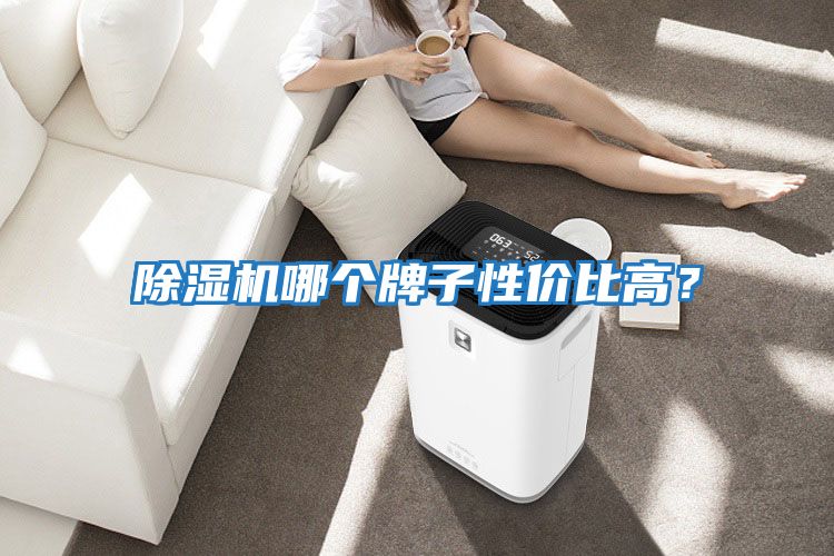 除濕機(jī)哪個(gè)牌子性價(jià)比高?