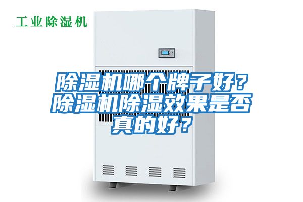 除濕機哪個牌子好？除濕機除濕效果是否真的好？