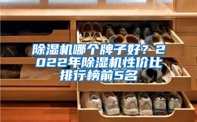 除濕機(jī)哪個(gè)牌子好?2022年除濕機(jī)性價(jià)比排行榜前5名