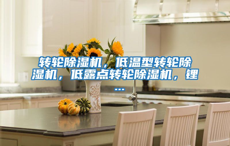 轉(zhuǎn)輪除濕機，低溫型轉(zhuǎn)輪除濕機，低露點轉(zhuǎn)輪除濕機，鋰 ...