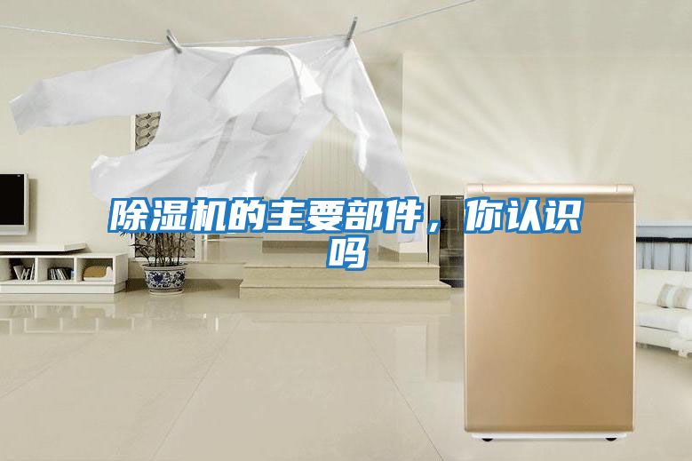 除濕機的主要部件，你認識嗎