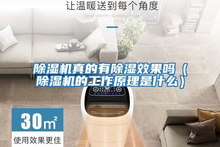 除濕機真的有除濕效果嗎(除濕機的工作原理是什么)