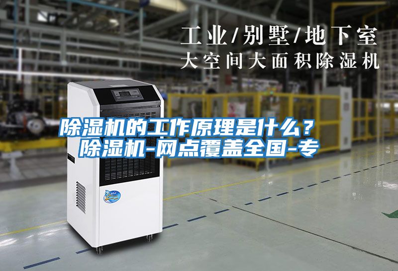 除濕機(jī)的工作原理是什么? 除濕機(jī)-網(wǎng)點(diǎn)覆蓋全國(guó)-專(zhuān)