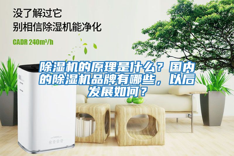 除濕機的原理是什么？國內的除濕機品牌有哪些，以后發展如何？