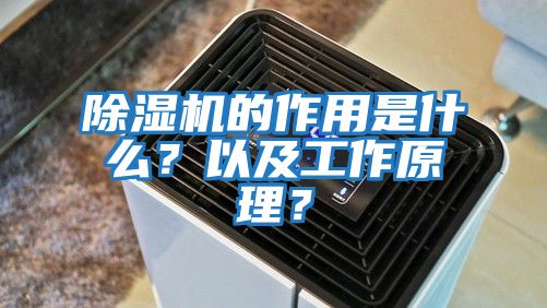 除濕機的作用是什么？以及工作原理？