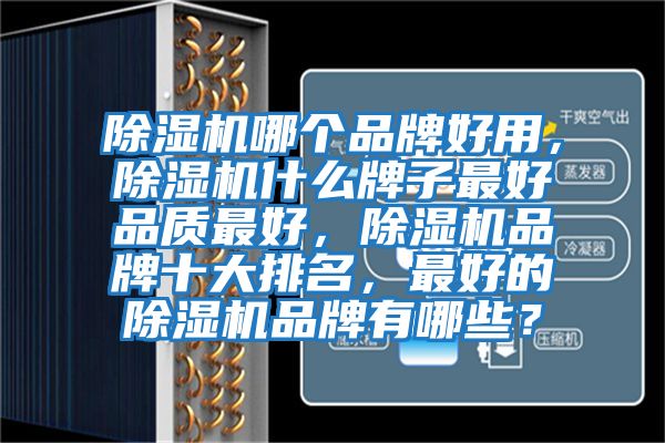 除濕機(jī)哪個(gè)品牌好用，除濕機(jī)什么牌子最好品質(zhì)最好，除濕機(jī)品牌十大排名，最好的除濕機(jī)品牌有哪些？