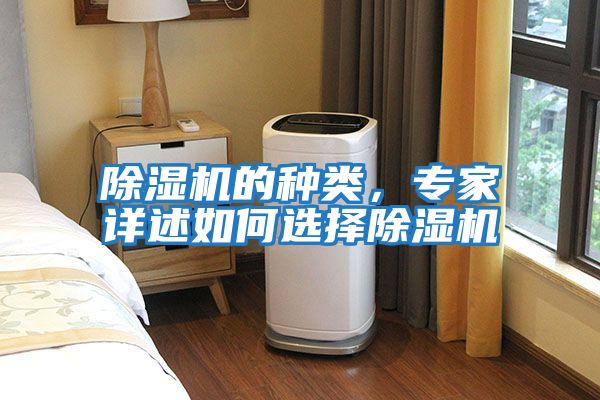 除濕機的種類，專家詳述如何選擇除濕機