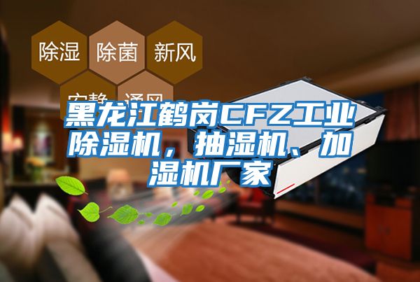 黑龍江鶴崗CFZ工業除濕機，抽濕機、加濕機廠家