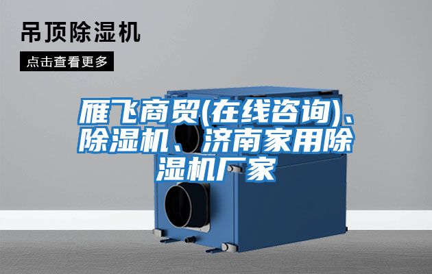 雁飛商貿(在線咨詢)、除濕機、濟南家用除濕機廠家