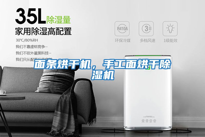 面條烘干機,手工面烘干除濕機