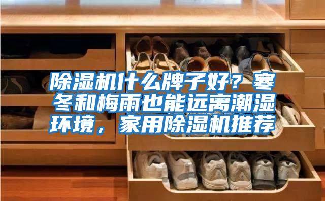 除濕機什么牌子好？寒冬和梅雨也能遠離潮濕環境，家用除濕機推薦