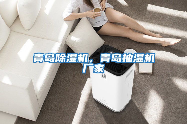 青島除濕機，青島抽濕機廠家