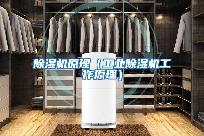 除濕機原理（工業除濕機工作原理）
