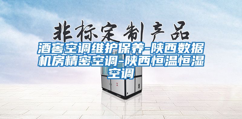 酒窖空調維護保養(yǎng)-陜西數(shù)據(jù)機房精密空調-陜西恒溫恒濕空調
