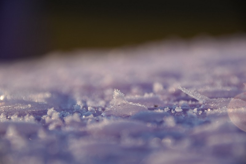 你知道除濕機為什么需要自動化霜嗎？ 冷凍式除濕機化霜功能