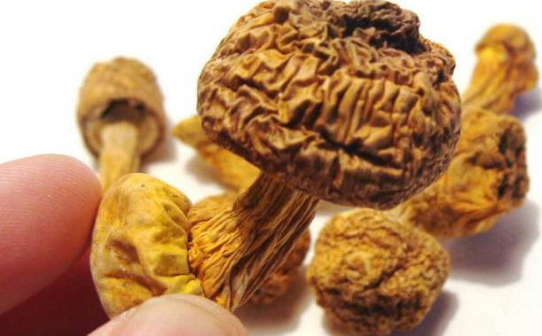 巴西菇、姬松茸烘干機(jī)-怎樣烘干色澤好且菇體褶片完整？