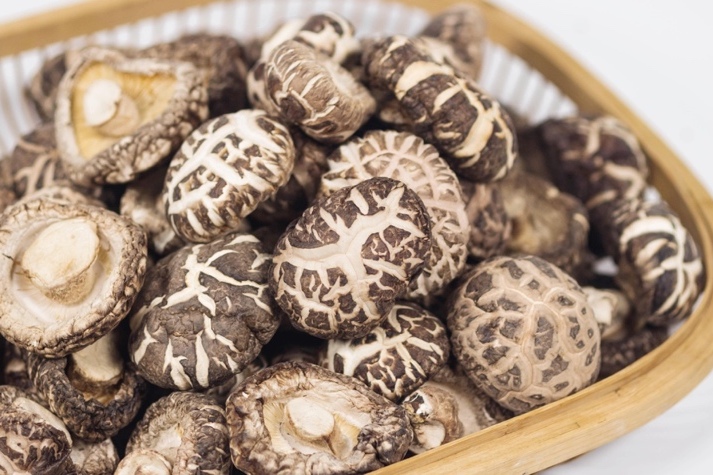 干貨倉(cāng)庫(kù)怎么利用除濕機(jī)保持干爽?